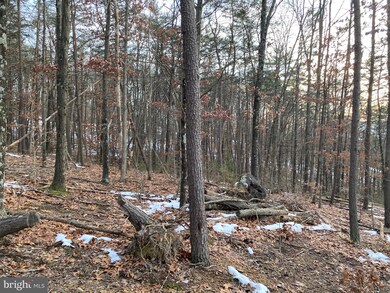 0 Spielman Rd unit WVMO117882, Berkeley Springs, WV 25411 - photo 7