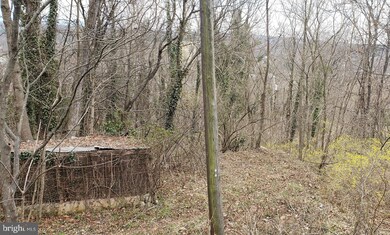 0 Cacapon Rd unit WVMO118222, Berkeley Springs, WV 25411 - photo 2