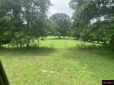 001-04806-002 Colonial Ln, Yellville, AR 72687 - photo 5