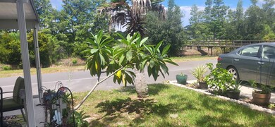 8225 Arevee Dr unit 819, New Port Richey, FL 34653 - photo 6