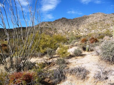 Mountain Views 3