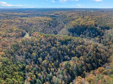 12970 Sr-56, Altamont, TN 37301 - photo 5