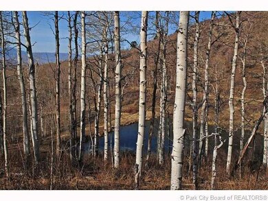 Land/Lot.