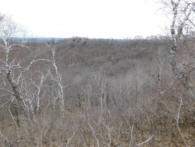 0 Sather Ln unit 1533393, Ettrick, WI 54627 - photo 7