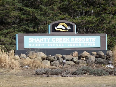 Lot 57 Valley Run Rd unit 57, Custer Township, MI 49615 - photo 2