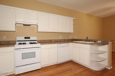 Gas Oven