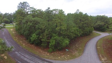 9290 N Marcus Way, Citrus Springs, FL 34433 - photo 7