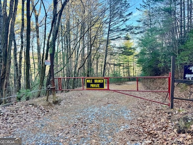 0 Mule Branch Rd unit 10655521, Helen, GA 30545 - photo 3
