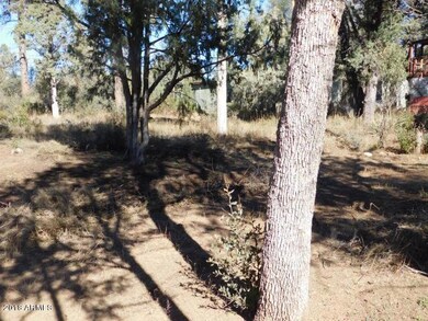 1511 N Wright Cir unit 1 & 4, Payson, AZ 85541 - photo 5