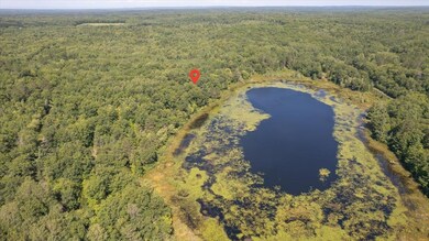 66430 N Point Dr, Iron River, WI 54847 - photo 3