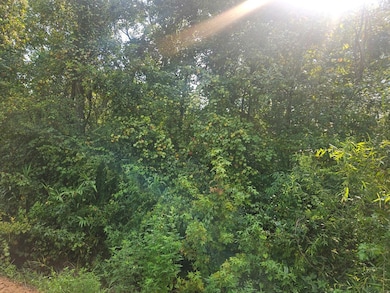 0 Twin Oaks Rd unit 144769, Ray City, GA - photo 3