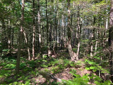 26 Huttwil Dr unit M104/L001, Madison, NH 03849 - photo 3