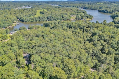 38 and 58 Lake View Pointe, Union Hall, VA 24092 - photo 6