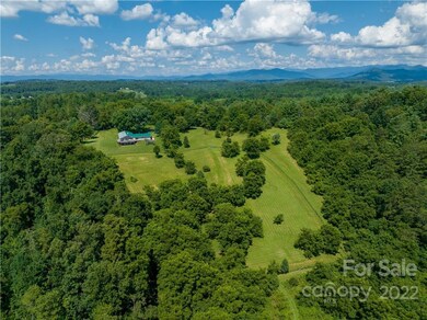 1194 Bear Creek Rd, Leicester, NC 28748 - photo 5