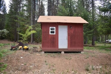 Shed