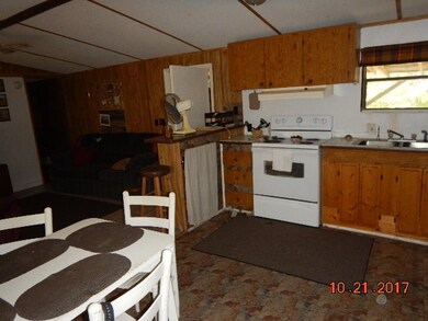 210 Main St, Steinhatchee, FL 32359 - photo 5