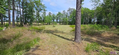 3270 Nesom Rd, Denham Springs, LA 70706 - photo 5