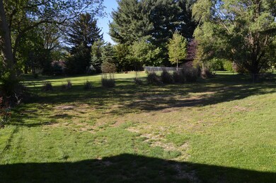 Backyard from House