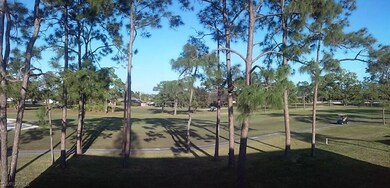 Your view