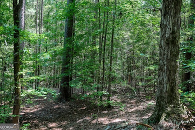 0 Moores Store Rd, Richland, GA 31825 - photo 2