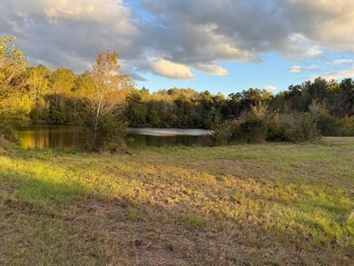 Sconyers Rd, Clio, AL 36017 - photo 5