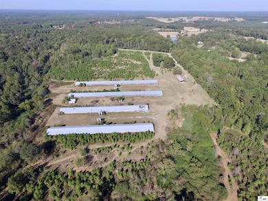 407 Highway 821, Choudrant, LA 71227 - photo 4