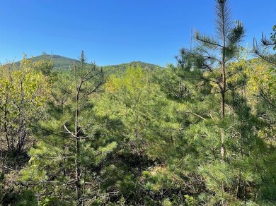 51-3 Depot Rd, Tamworth, NH 03886 - photo 5