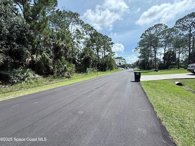 782 Micco St SW, Palm Bay, FL 32908 - photo 3