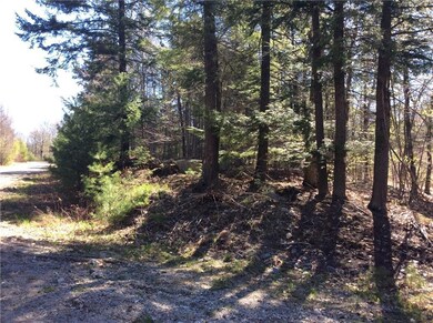 41-1 Knights Hill & Tanner Way Rd, Bridgton, ME 04009 - photo 4