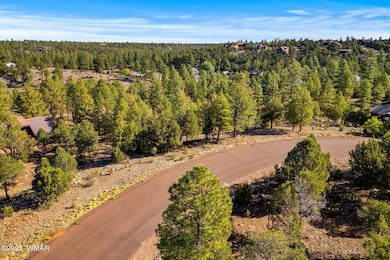 LOTS OF PINES