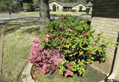 4726 4726 Chad Dr, Tyler, TX 75703 - photo 6