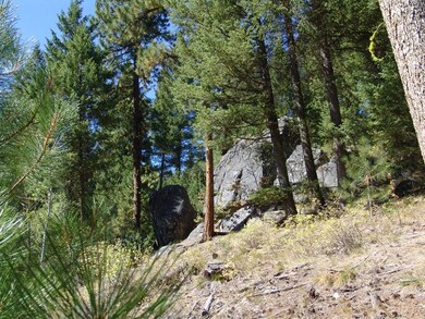 40 Rehn Loop unit 4, Cascade, ID 83611 - photo 6