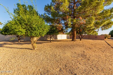 17018 N 95th Dr, Sun City, AZ 85373 - photo 4