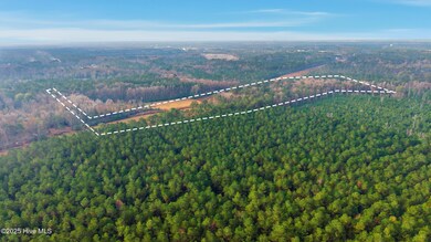 4360 Buck Dr, Cape Fear, NC 28429 - photo 4