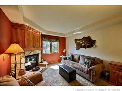 Sleeper sofa in the living room & gas fireplace.