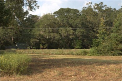 0 Lonnie Duncan Rd, Mount Hermon, LA 70450 - photo 5