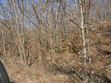0 Stout Mountain Rd unit 729094, Winslow, AR 72959 - photo 4