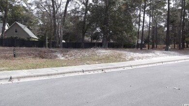 9176 Gates Dr unit Lot 122, Calabash, NC 28467 - photo 3