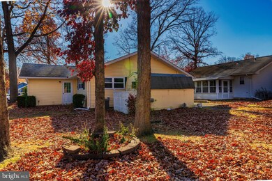 5 Pine Ave, Hammonton, NJ 08037 - photo 3