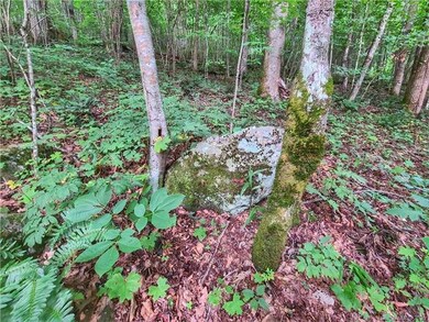 9999 Fox Creek Rd unit 13, Mars Hill, NC 28754 - photo 6