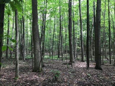 0 W 48th St unit 18035343, Newaygo, MI 49337 - photo 6