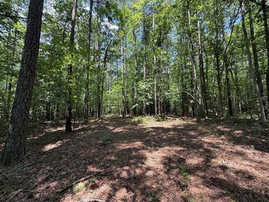 37-39 Field Trial Rd, Lancaster, VA 22503 - photo 4