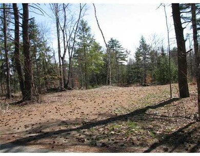 Land/Lot. Partially cleared