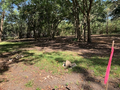 603 Quaker Dr, Friendswood, TX 77546 - photo 3