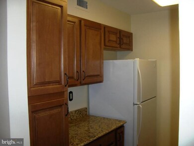 5833 Cove Landing Rd unit 202, Burke, VA 22015 - photo 7