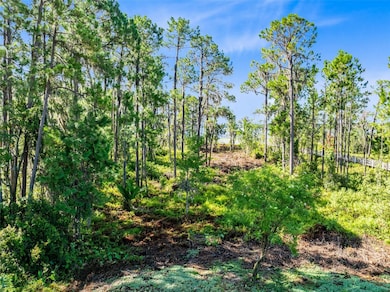 9151 Tibet Pointe Cir, Windermere, FL 34786 - photo 5