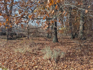 N/A Point Augres Rd, Au Gres, MI 48703 - photo 2