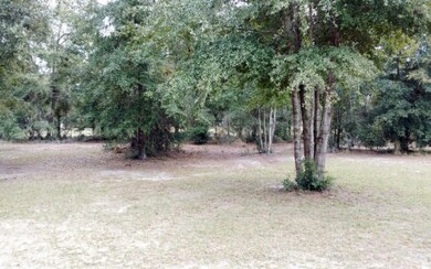 155 Meadowlark Dr, Lake City, FL 32055 - photo 3