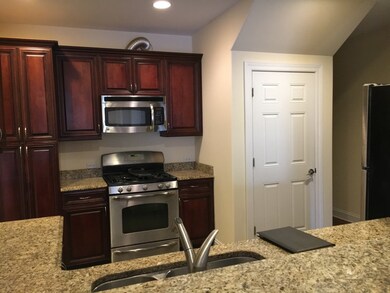 1420 Charles St unit 100, Naperville, IL 60563 - photo 5