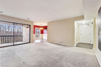 1105 Canyon View Rd unit 305, Northfield, OH 44067 - photo 4